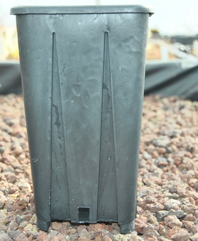 pots hauts 11x11x20cm