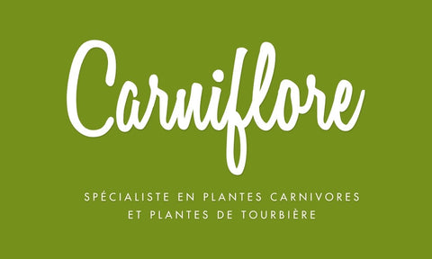 Carte cadeau pépinière Carniflore