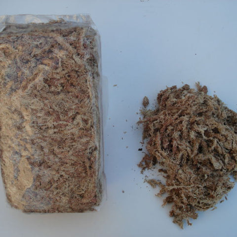 Zoma Terreau Premium 2L Pour Plantes Carnivores – Substrat Acide Tourbe De Sphaigne Hydratée + Perlite, Bark, Quartzite – Idéal Sarracenia, Dionée, Népenthes